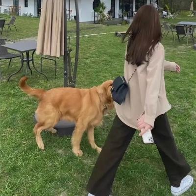 咱们裸熊第四季